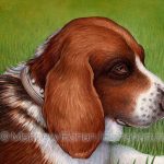 Fritz the Basset (10x14 inch Transparent Watercolor)