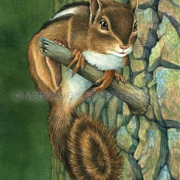 Eastern Chipmunk (Painting Fur) Step-by-Step