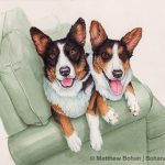 Corgis on Couch (8x10 in Transparent Watercolor)