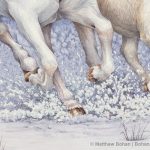 Horses in Snow (detail from 18 x 24 in Transparent Watercolor on Arches 140lb HP paper)