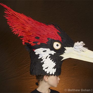 Halloween Bird Hats!