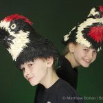 Acorn Woodpecker and Yellow-bellied Sapsucker Hats