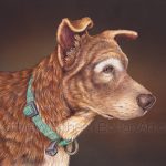 Mya– Mixed Breed Dog Transparent Watercolor