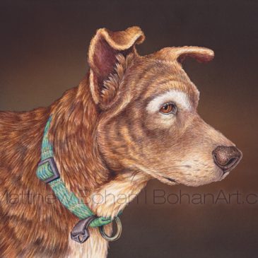 Mya: Mixed Breed Dog Step-by-Step Transparent Watercolor