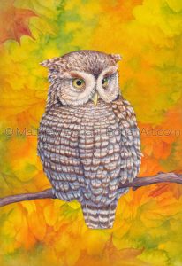 Eastern Screech Owl (7x 10-in Transparent Watercolor on Arches 140lb HP Paper)
