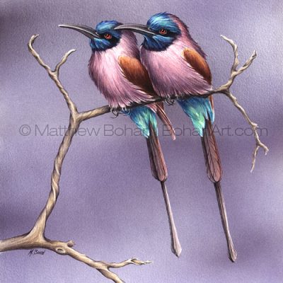 Carmine Bee Eaters (10x14 in Transparent Watercolor)