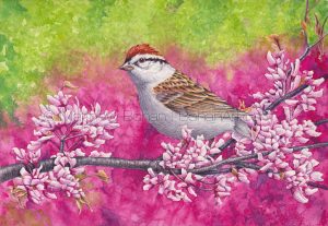 Chipping Sparrow 7x10 inch Transparent Watercolor