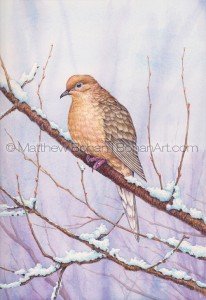 Mourning Dove (4x5 inch detail from 7x10 inch Transparent Watercolor Painting)