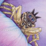 Male Dark Phase Dimorphic Jumping Spider (4.5 x 3 in ch detail from 7x10 in Watercolor)