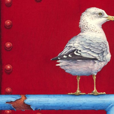 Ring-billed Gull (detail from 18x24 inch transparent watercolor on arches 140lb HP paper)