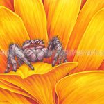 Tan Jumping Spider (Platycryptus undatus-10x7 inch Transparent Watercolor on Arches 140lb HP Paper)