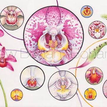 “Orchids” Transparent Watercolor and Time-lapse Video