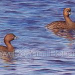 Pied-billed Grebes (9x24inch Transparent Watercolor on Arches 140lb HP Paper)