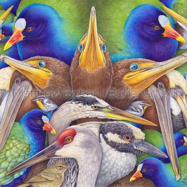 Birds of the Everglades Transparent Watercolor and Time-lapse