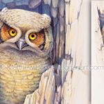 Great Horned Owlet (9x24 inch Transparent Watercolor on Arches 140lb HP Paper)