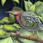 Green Heron (9x12 inch Transparent Watercolor on Kilimanjaro 140lb CP paper)