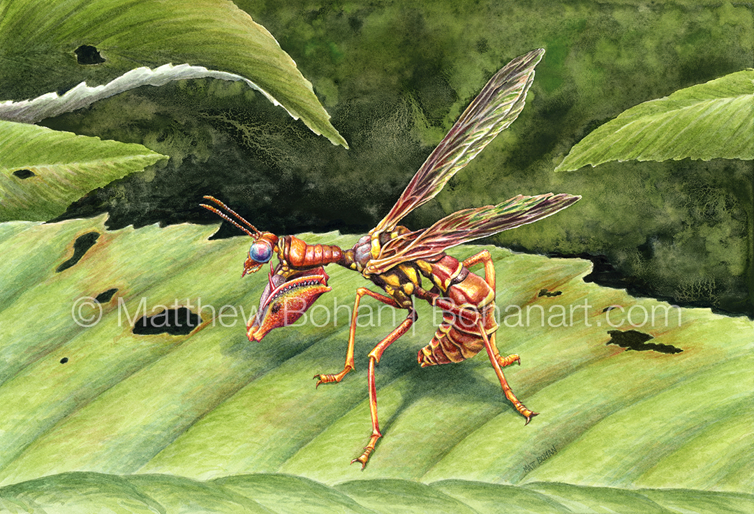 Brown Mantidfly (7x10 inch Transparent Watercolor on Arches 140lb HP Paper)