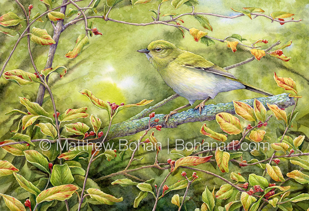 A detailed watercolor painting of a Tennessee Warbler perched on a delicate leafy branch. The bird features olive-green plumage and subtle yellow-toned legs, expertly rendered to show the balance between natural camouflage and artistic contrast against a soft, mottled green and blue background.
