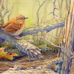 Winter Wren (7x10 inch Transparent Watercolor on Arches 140lb HP Paper)